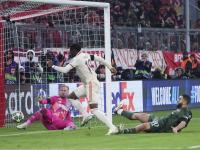 开云体育官方网站-包含拜仁慕尼黑轻松取胜，成功晋级欧冠四强的词条