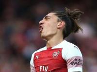 开云下载-里昂新援表现惊艳，引发球迷狂热追捧的简单介绍