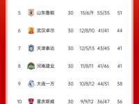 开云官方app入口-广州富力大胜上海绿地申花，稳固积分榜第二位置的简单介绍