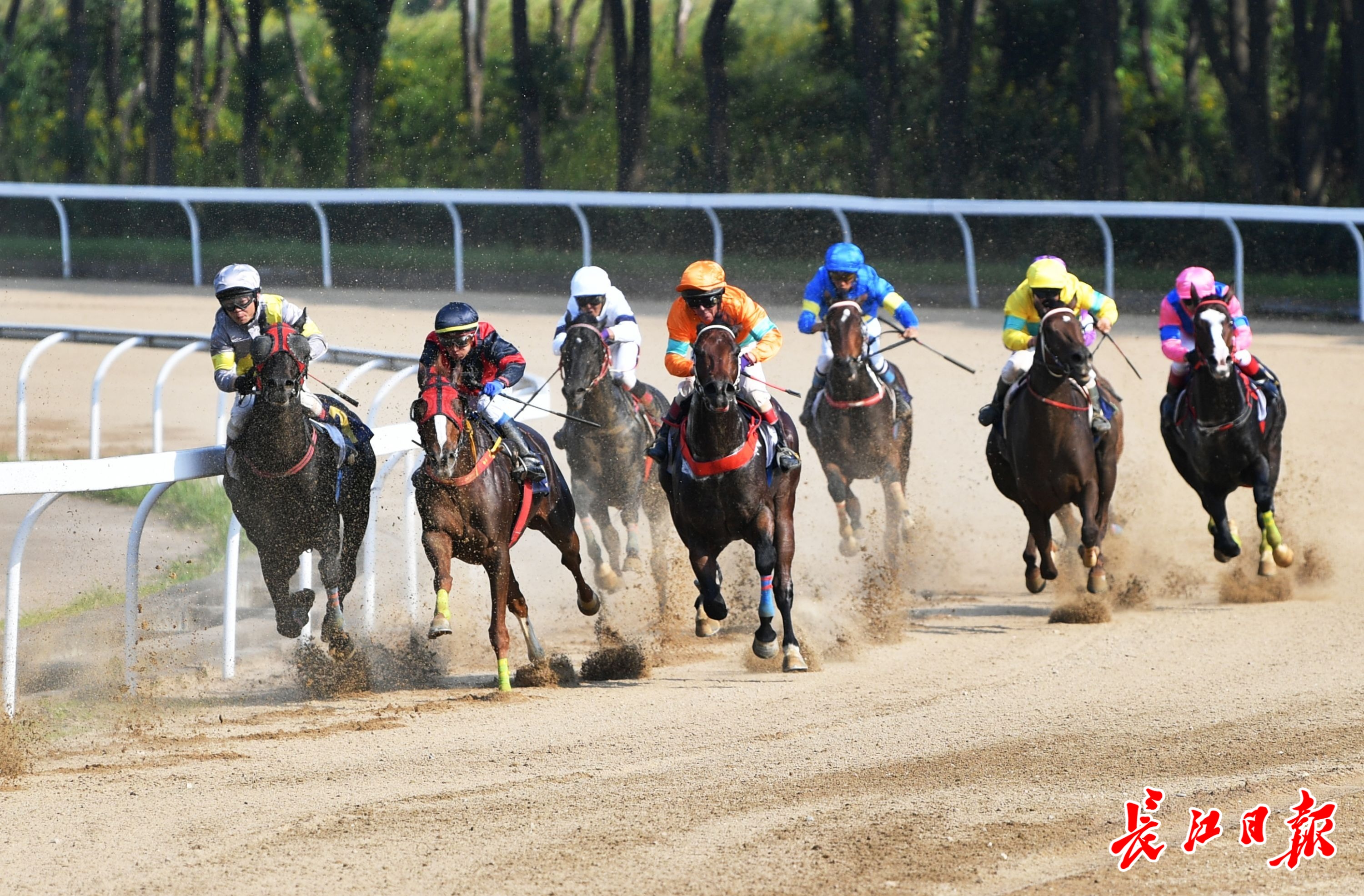 包含欧预赛热身赛接连开打，好戏连台的词条