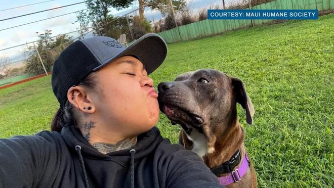 普赖贝尔主场迎来胜利,激动人心 普赖贝尔主场迎来胜利,激动人心