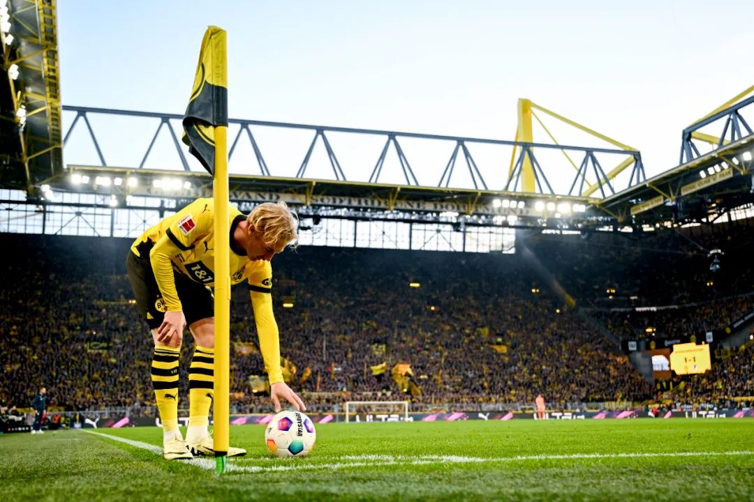 霍芬海姆主场 霍芬海姆主场