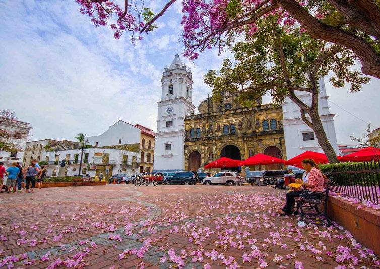 巴拿马代表团勇不可挡,飒爽英姿 巴拿马代表团勇不可挡,飒爽英姿