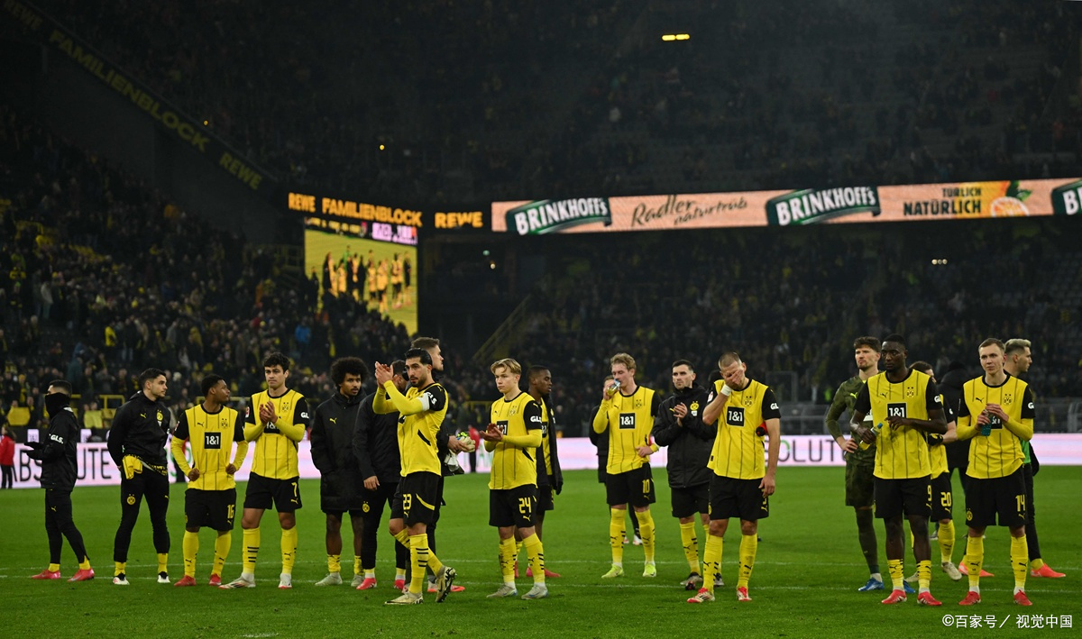 沃特福德主场告捷,结束连败的简单介绍 沃特福德主场告捷,结束连败的简单介绍