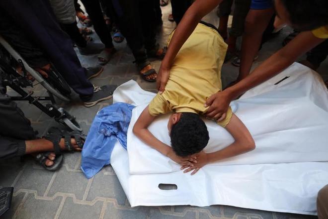 巴勒斯坦拳击手再度夺金,技术精湛 巴勒斯坦拳击手再度夺金,技术精湛